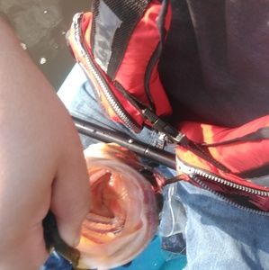 Meet your Posher, Oscar